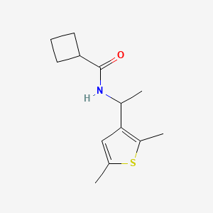 molecular formula C13H19NOS B7495102 N-[1-(2,5-dimethylthiophen-3-yl)ethyl]cyclobutanecarboxamide 