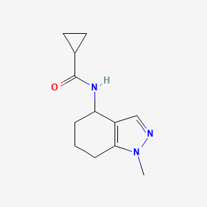 molecular formula C12H17N3O B7495345 N-(1-methyl-4,5,6,7-tetrahydroindazol-4-yl)cyclopropanecarboxamide 