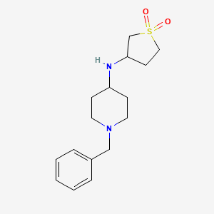 molecular formula C16H24N2O2S B7495702 1-benzyl-N-(1,1-dioxothiolan-3-yl)piperidin-4-amine 