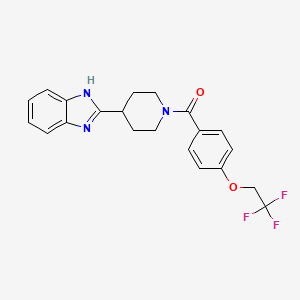 molecular formula C21H20F3N3O2 B7498955 [4-(1H-benzimidazol-2-yl)piperidin-1-yl]-[4-(2,2,2-trifluoroethoxy)phenyl]methanone 