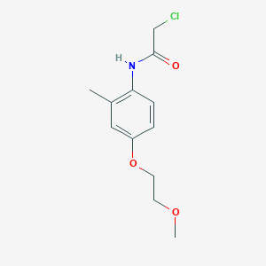 molecular formula C12H16ClNO3 B7499138 2-chloro-N-[4-(2-methoxyethoxy)-2-methylphenyl]acetamide 