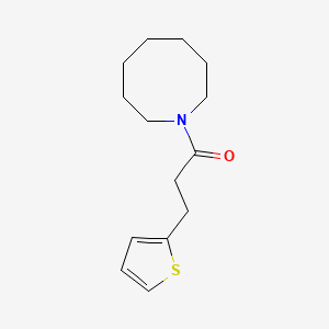 molecular formula C14H21NOS B7499541 1-(Azocan-1-yl)-3-thiophen-2-ylpropan-1-one 