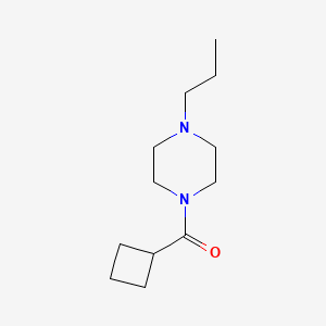molecular formula C12H22N2O B7500084 Cyclobutyl-(4-propylpiperazin-1-yl)methanone 