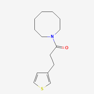 molecular formula C14H21NOS B7500462 1-(Azocan-1-yl)-3-thiophen-3-ylpropan-1-one 