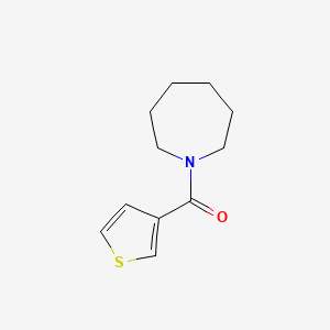 molecular formula C11H15NOS B7501011 Azepan-1-yl(thiophen-3-yl)methanone 