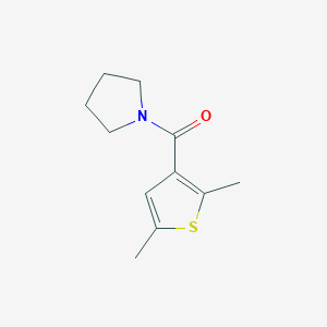 molecular formula C11H15NOS B7501743 (2,5-Dimethylthiophen-3-yl)-pyrrolidin-1-ylmethanone 