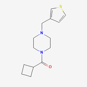 molecular formula C14H20N2OS B7502296 Cyclobutyl-[4-(thiophen-3-ylmethyl)piperazin-1-yl]methanone 