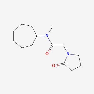 molecular formula C14H24N2O2 B7505012 N-cycloheptyl-N-methyl-2-(2-oxopyrrolidin-1-yl)acetamide 