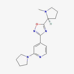 molecular formula C16H21N5O B7505356 5-[(2S)-1-methylpyrrolidin-2-yl]-3-(2-pyrrolidin-1-ylpyridin-4-yl)-1,2,4-oxadiazole 