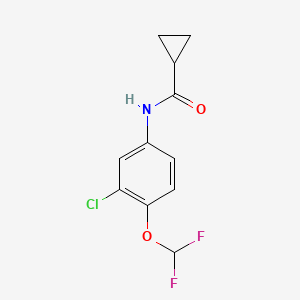 molecular formula C11H10ClF2NO2 B7505475 N-[3-chloro-4-(difluoromethoxy)phenyl]cyclopropanecarboxamide 