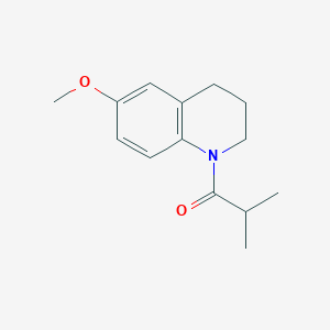 molecular formula C14H19NO2 B7505496 1-(6-methoxy-3,4-dihydro-2H-quinolin-1-yl)-2-methylpropan-1-one 