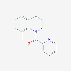 molecular formula C16H16N2O B7505825 (8-methyl-3,4-dihydro-2H-quinolin-1-yl)-pyridin-2-ylmethanone 