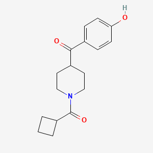 molecular formula C17H21NO3 B7506780 [1-(Cyclobutanecarbonyl)piperidin-4-yl]-(4-hydroxyphenyl)methanone 