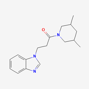 molecular formula C17H23N3O B7507129 3-(Benzimidazol-1-yl)-1-(3,5-dimethylpiperidin-1-yl)propan-1-one 