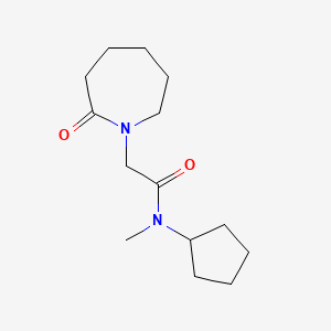 molecular formula C14H24N2O2 B7507212 N-cyclopentyl-N-methyl-2-(2-oxoazepan-1-yl)acetamide 