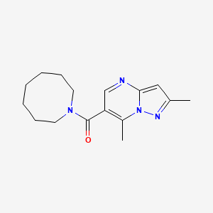 Azocan-1-yl-(2,7-dimethylpyrazolo[1,5-a]pyrimidin-6-yl)methanone