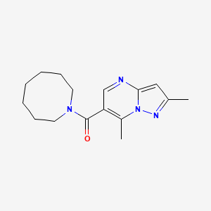 molecular formula C16H22N4O B7507905 Azocan-1-yl-(2,7-dimethylpyrazolo[1,5-a]pyrimidin-6-yl)methanone 