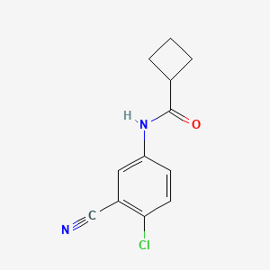 molecular formula C12H11ClN2O B7508003 N-(4-chloro-3-cyanophenyl)cyclobutanecarboxamide 