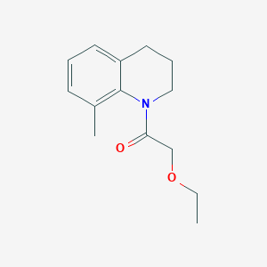 molecular formula C14H19NO2 B7508135 2-ethoxy-1-(8-methyl-3,4-dihydro-2H-quinolin-1-yl)ethanone 