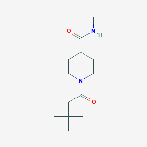 molecular formula C13H24N2O2 B7508918 1-(3,3-dimethylbutanoyl)-N-methylpiperidine-4-carboxamide 