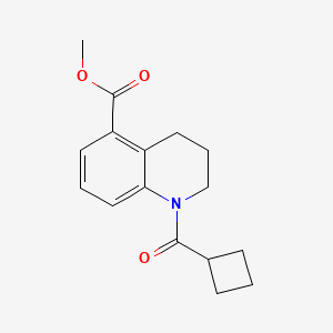 molecular formula C16H19NO3 B7509346 methyl 1-(cyclobutanecarbonyl)-3,4-dihydro-2H-quinoline-5-carboxylate 
