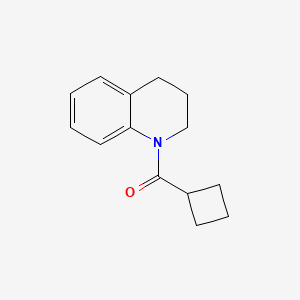 molecular formula C14H17NO B7509655 1-Cyclobutanecarbonyl-1,2,3,4-tetrahydroquinoline 
