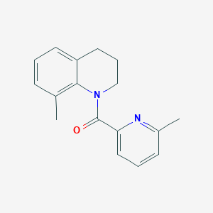 molecular formula C17H18N2O B7509827 (8-methyl-3,4-dihydro-2H-quinolin-1-yl)-(6-methylpyridin-2-yl)methanone 