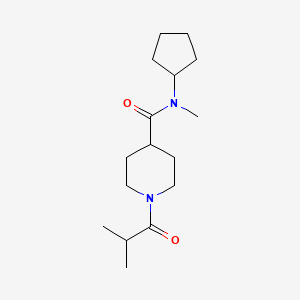 molecular formula C16H28N2O2 B7509851 N-cyclopentyl-N-methyl-1-(2-methylpropanoyl)piperidine-4-carboxamide 