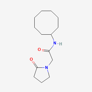 molecular formula C14H24N2O2 B7510290 N-cyclooctyl-2-(2-oxopyrrolidin-1-yl)acetamide 