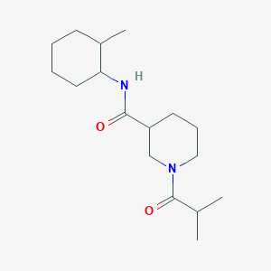 molecular formula C17H30N2O2 B7510375 N-(2-methylcyclohexyl)-1-(2-methylpropanoyl)piperidine-3-carboxamide 