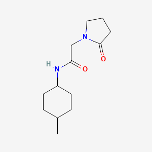 molecular formula C13H22N2O2 B7510455 N-(4-methylcyclohexyl)-2-(2-oxopyrrolidin-1-yl)acetamide 