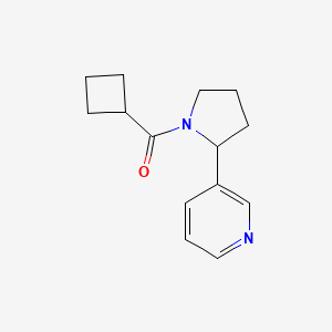 molecular formula C14H18N2O B7511068 Cyclobutyl-(2-pyridin-3-ylpyrrolidin-1-yl)methanone 