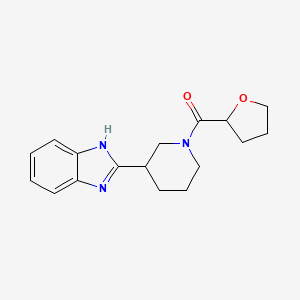 molecular formula C17H21N3O2 B7511369 [3-(1H-benzimidazol-2-yl)piperidin-1-yl]-(oxolan-2-yl)methanone 