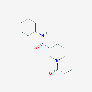 N-(3-methylcyclohexyl)-1-(2-methylpropanoyl)piperidine-3-carboxamide
