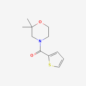 molecular formula C11H15NO2S B7511731 (2,2-Dimethylmorpholin-4-yl)-thiophen-2-ylmethanone 