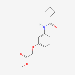molecular formula C14H17NO4 B7511972 Methyl 2-[3-(cyclobutanecarbonylamino)phenoxy]acetate 