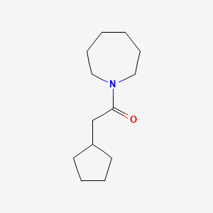 molecular formula C13H23NO B7512497 1-(Azepan-1-yl)-2-cyclopentylethanone 