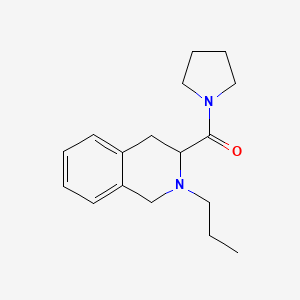 molecular formula C17H24N2O B7512579 (2-propyl-3,4-dihydro-1H-isoquinolin-3-yl)-pyrrolidin-1-ylmethanone 