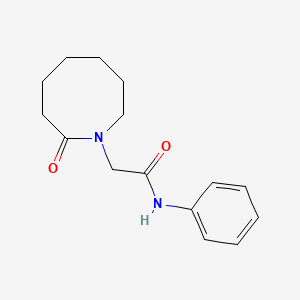 molecular formula C15H20N2O2 B7512800 2-(2-oxoazocan-1-yl)-N-phenylacetamide 