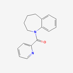 molecular formula C16H16N2O B7513745 Pyridin-2-yl(2,3,4,5-tetrahydro-1-benzazepin-1-yl)methanone 