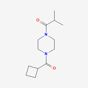 molecular formula C13H22N2O2 B7514078 1-[4-(Cyclobutanecarbonyl)piperazin-1-yl]-2-methylpropan-1-one 