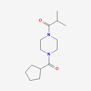 molecular formula C14H24N2O2 B7514130 1-[4-(Cyclopentanecarbonyl)piperazin-1-yl]-2-methylpropan-1-one 