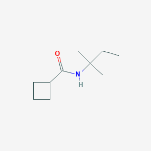 molecular formula C10H19NO B7514459 N-(2-methylbutan-2-yl)cyclobutanecarboxamide 