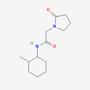 molecular formula C13H22N2O2 B7515870 N-(2-methylcyclohexyl)-2-(2-oxopyrrolidin-1-yl)acetamide 