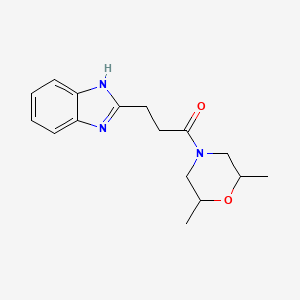 molecular formula C16H21N3O2 B7516167 3-(1H-benzimidazol-2-yl)-1-(2,6-dimethylmorpholin-4-yl)propan-1-one 