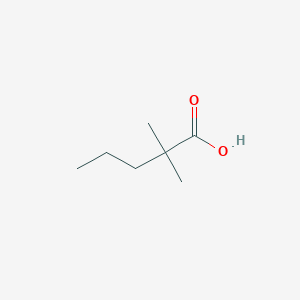molecular formula C7H14O2 B075166 2,2-二甲基戊酸 CAS No. 1185-39-3