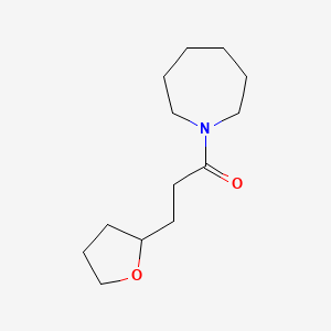 molecular formula C13H23NO2 B7517540 1-(Azepan-1-yl)-3-(oxolan-2-yl)propan-1-one 