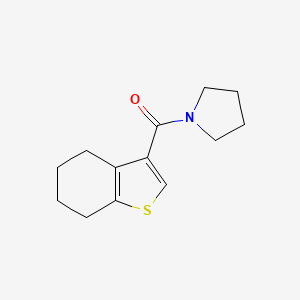 molecular formula C13H17NOS B7517826 1-Pyrrolidinyl(4,5,6,7-tetrahydro-1-benzothiophen-3-yl)methanone 