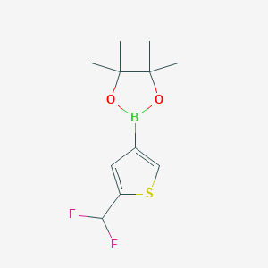 molecular formula C11H15BF2O2S B7518157 2-(5-Difluoromethyl-thiophen-3-yl)-4,4,5,5-tetramethyl-[1,3,2]dioxaborolane 