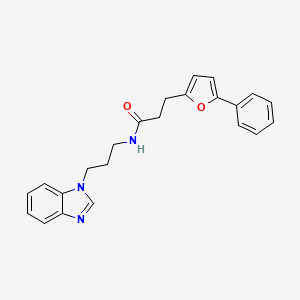 molecular formula C23H23N3O2 B7520224 N-[3-(benzimidazol-1-yl)propyl]-3-(5-phenylfuran-2-yl)propanamide 